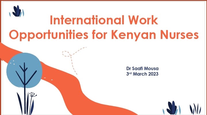 WEBINAR EXPOSES NURSING STUDENTS TO INTERNATIONAL WORK OPPORTUNITIES