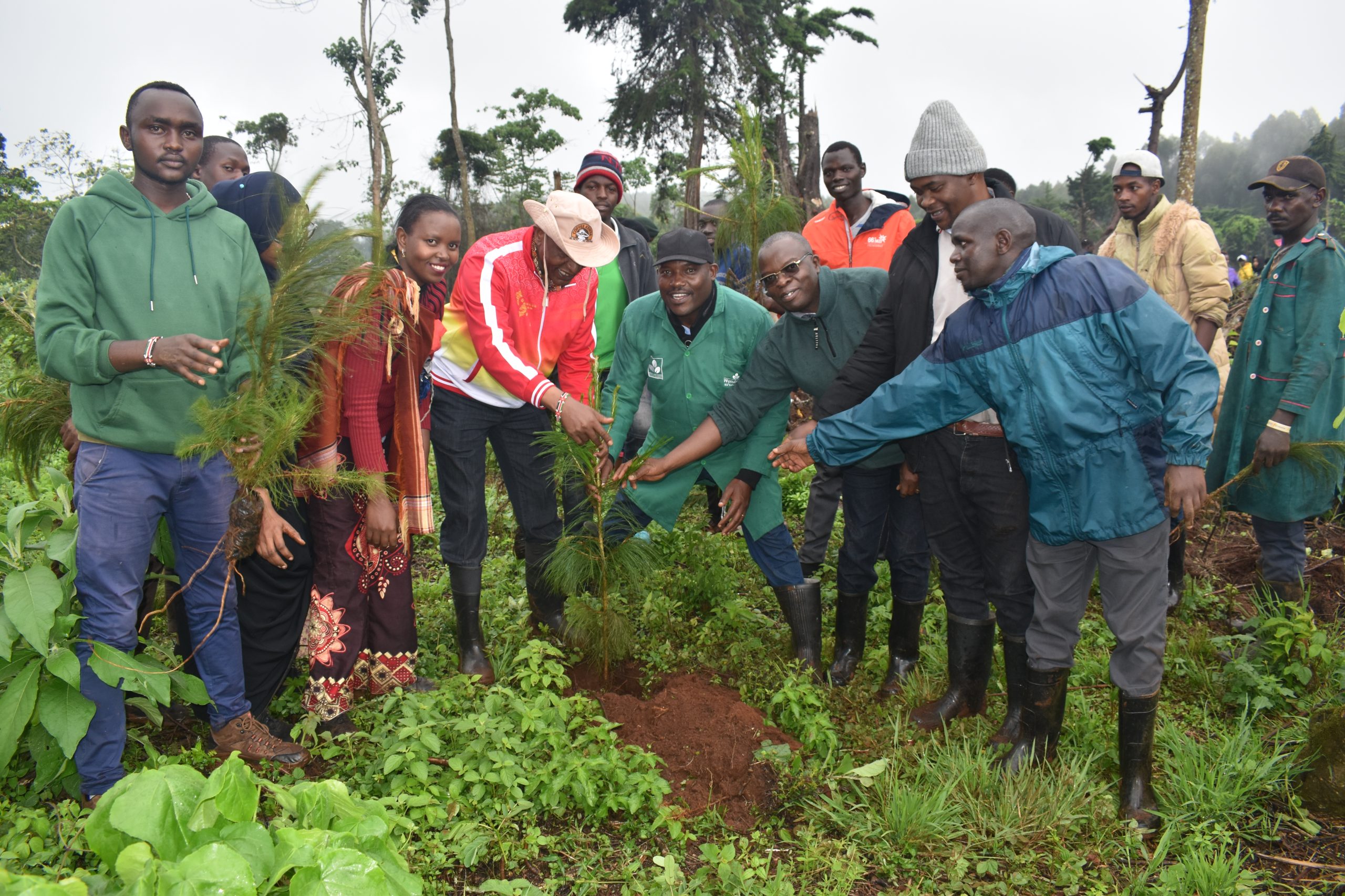 KARATINA UNIVERSITY PLANTS TREES AT RAGATI FOREST AND KIGANJO