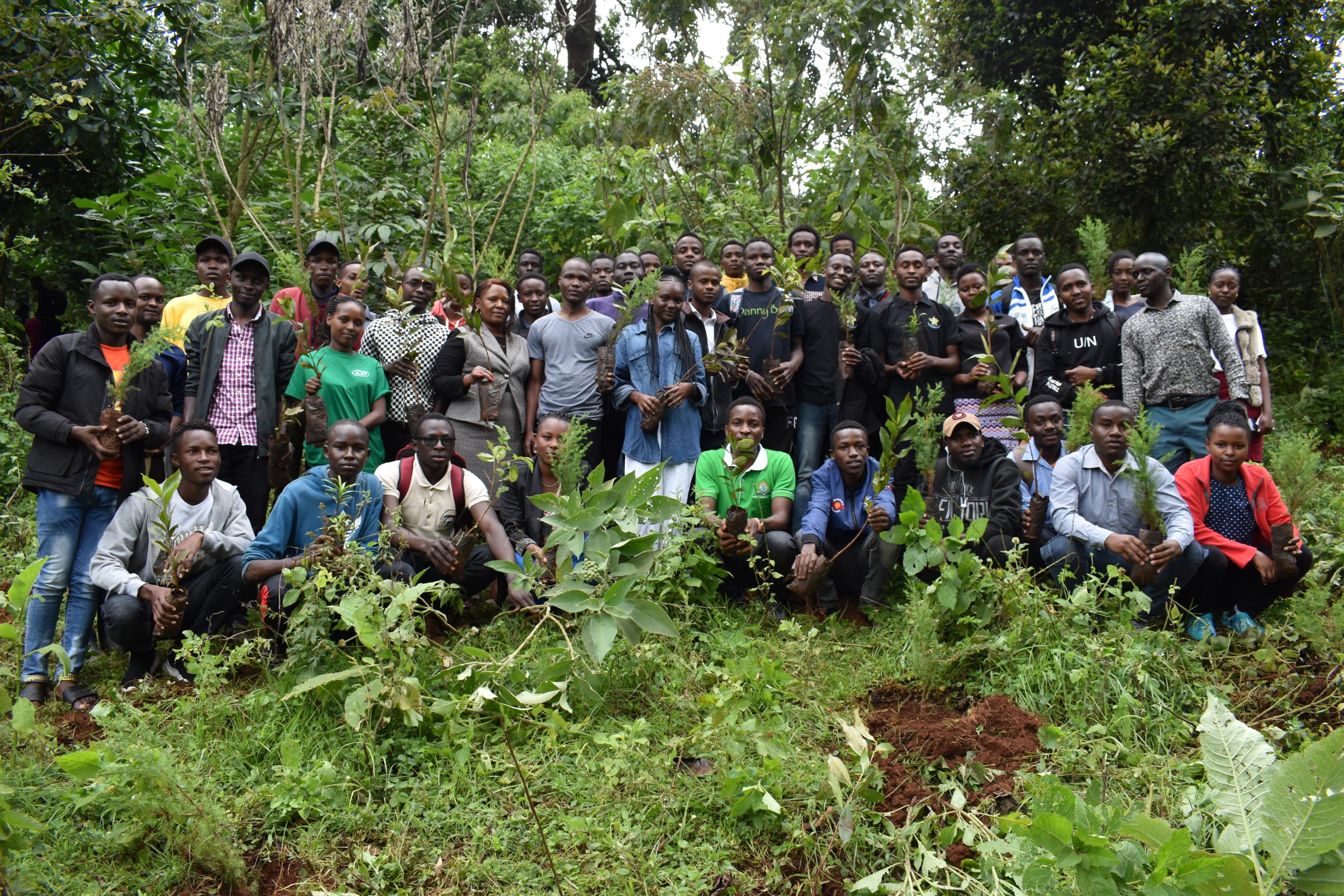 TREE PLANTING AT THE UNIVERSITY